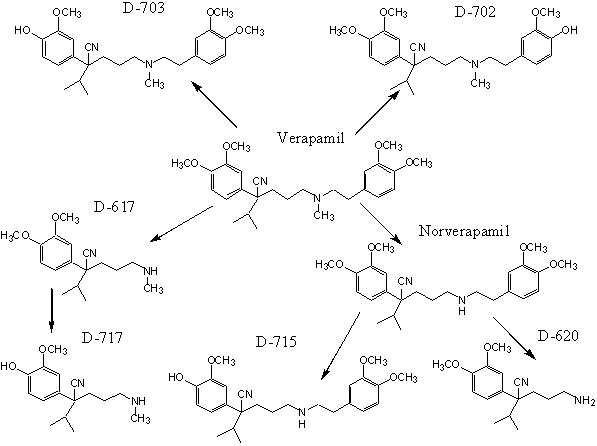 Структурные формулы верапамила и его основных метаболитов