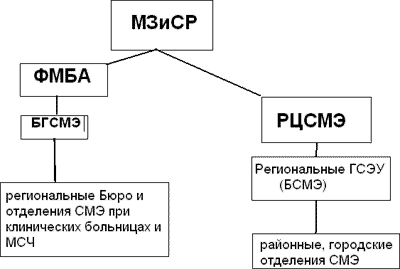  Структура судебно-медицинской службы МЗ и СР РФ