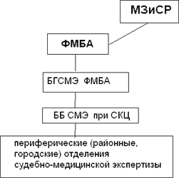  Структура судебно-медицинской службы ФМБА 