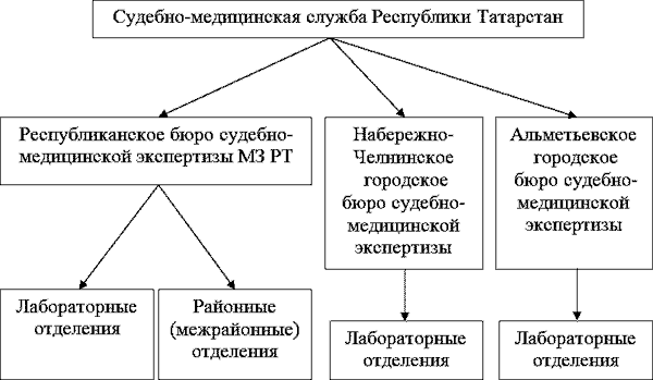 Структура судебно-медицинской службы РТ в 1996-2006 годах
